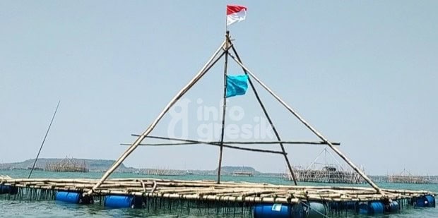 Tingkatkan Hasil Kerang Hijau Hingga 3 Kali Lipat, Karamba Apung Dosen UMG Raih Penghargaan Bentuk karamba apung kerang hijau karya Farikhah dan tim di Laut Jawa Desa Banyuurip, Kecamatan Ujungpangkah, Kabupaten Gresik. (Foto: Istimewa/Infogresik)