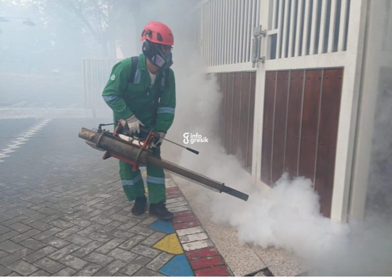 6 Warga Terserang DB, Pemdes Sekarkurung Kebomas Langsung Gelar Fogging Fogging di rumah warga desa sekarkurung
