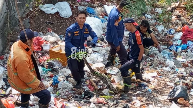 Petugas Damkarla Gresik saat menangkap ular piton sepanjang 4 meter di Desa Kedanyang. (Foto: Ist/Infogresik)