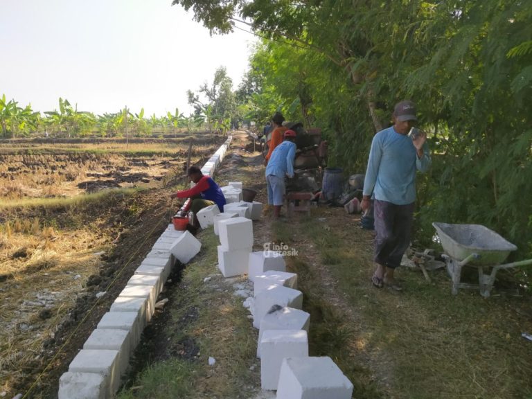 Petani dan Petambak di Desa Sekargadung Dukun Tersenyum usai Ada Pembangunan JUT Pembangunan Jalan Usaha Tani (JUT) di Desa Sekargadung Kec. Dukun, Kab. Gresik. (Foto: Ist/Infogresik)