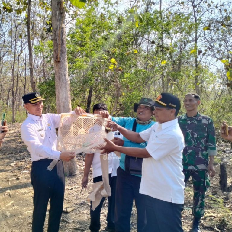 Proses pelepasan burung di hutan Panceng. (Foto: Ist/Infogresik)