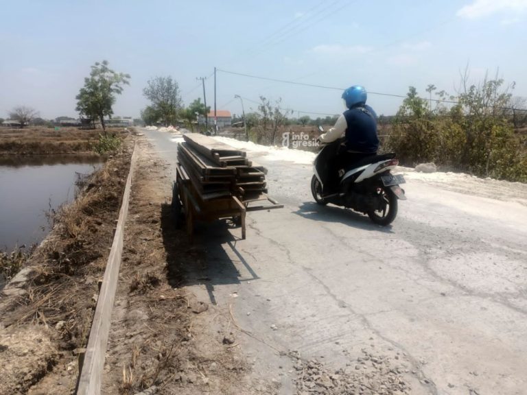 Kondisi Jalan Deso Palebon Kecamatan Duduksampeyan usai dilakukan perbaikan. (Foto: Ist/Infogresik)