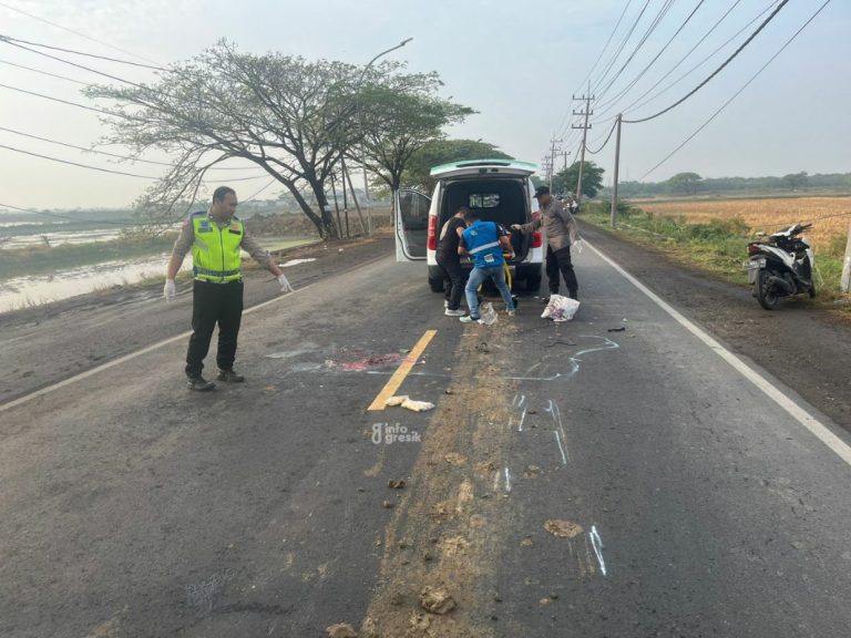 Hendak Menyalip, Ibu Asal Menganti Tewas Terlindas Truk Tak Dikenal Petugas Satlantas Polres Gresik menunjukan lokasi kecelakaan Sulastri di Jalan Raya Padeg Cerme. (Foto: Ist/Infogresik)