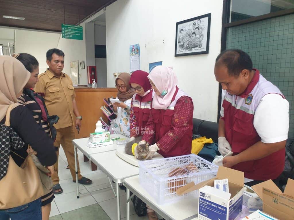 Dokter dari bidang peternakan Dispertan Gresik saat melakukan pemeriksaan hewan di kegiatan pelayanan kesehatan hewan dan vaksinasi rabies gratis. (Foto: Khanif Rosidin/Infogresik)