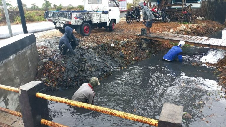 Cegah Banjir, Pemdes Tanjangawan dan Petambak Kerja Bakti Bersihkan Kali Proses pembersihan endapan lumpur di kali Desa Tanjangawan. (Foto: Ist/Infogresik)