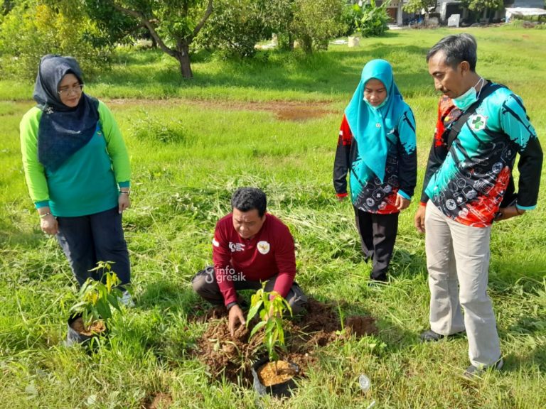 Camat Ujungpangkah Shofwan Hadi saat menanam pohon. (Foto: Ist/Infogresik)