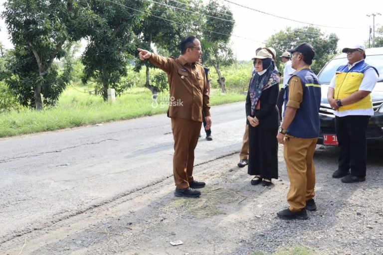 Wakil Bupati Gresik dr. Asluchul Alif bersama Kadis PUTR Dhiannita Tri Astuti saat mengecek kondisi ruas Jalan Desa Kedungsumber - Babatan di Kecamatan Balongpanggang. (Foto: Ist/Infogresik)