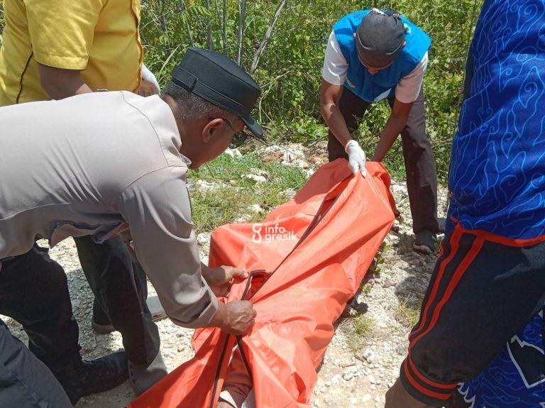 Anggota Polsek Manyar bersama petugas RSUD Ibnu Sina saat mengevakuasi mayat di area KEK JIIPE, Manyar. (Foto: Ist/Infogresik)