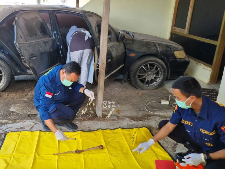Ditemukan Sarung dan Celana, Kerangka Manusia di Asrama Polsek Ujungpangkah Dipastikan Berjenis Kelamin Laki-laki Tim Bid Dokkes Polda Jatim saat memeriksa kerangka manusia yang ditemukan di dalam mobil yang terparkir di Aspol Polsek Ujungpangkah. (Foto: Ist/Infogresik)
