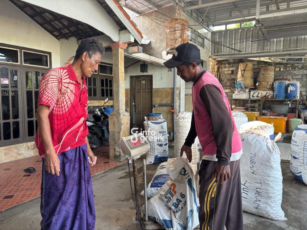 Salah satu nelayan Desa Randuboto saat menimbang kerang hasil panen dari tradisi kajakan. (Foto: Khanif Rosidin/Infogresik)