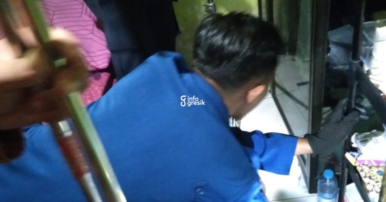 Petugas Damkarla Pos Dukun saat menangkap ular kobra di rumah warga. (Foto: Ist/Infogresik)