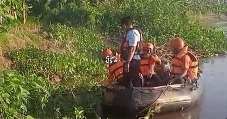 Tim gabungan saat melakukan penguraian eceng gondok di Sungai Bengawan Solo untuk mencari anak 9 tahun. (Foto: Ist/Infogresik)