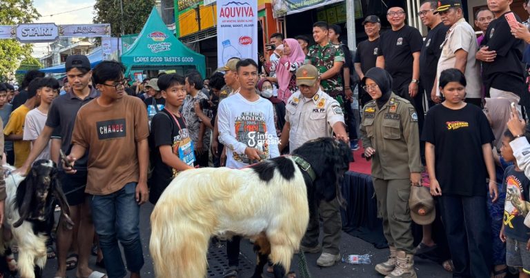 Plt. Bupati Gresik, dr. Asluchul Alif, saat menyaksikan kambing peserta Qurban Runner. (Foto: Khanif Rosidin/Infogresik)