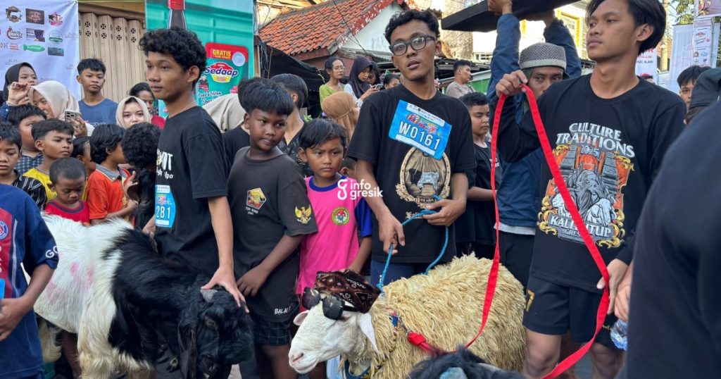 Salah satu kambing yang dihiasi kacamata hitam dan peci. (Foto: Khanif Rosidin/Infogresik)