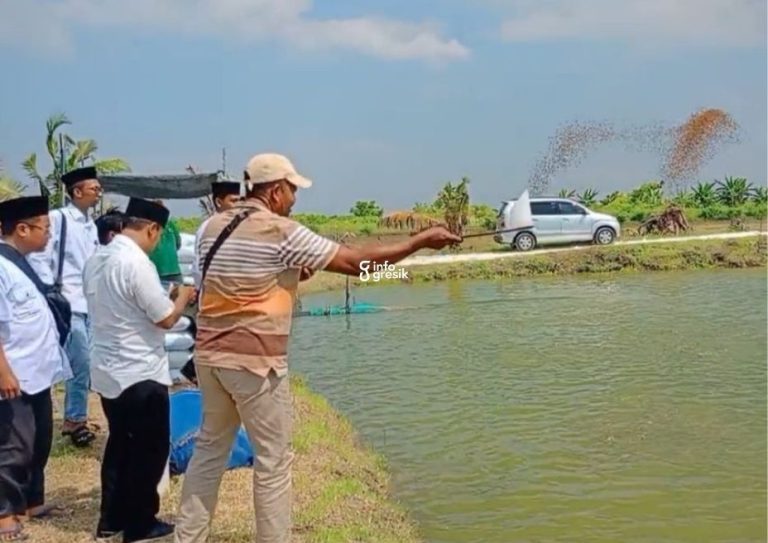 Pengurus SNNU Pamekasan saat mencoba memberi pakan ikan bandeng di Desa Pangkahwetan. (Foto: Ist/Infogresik)