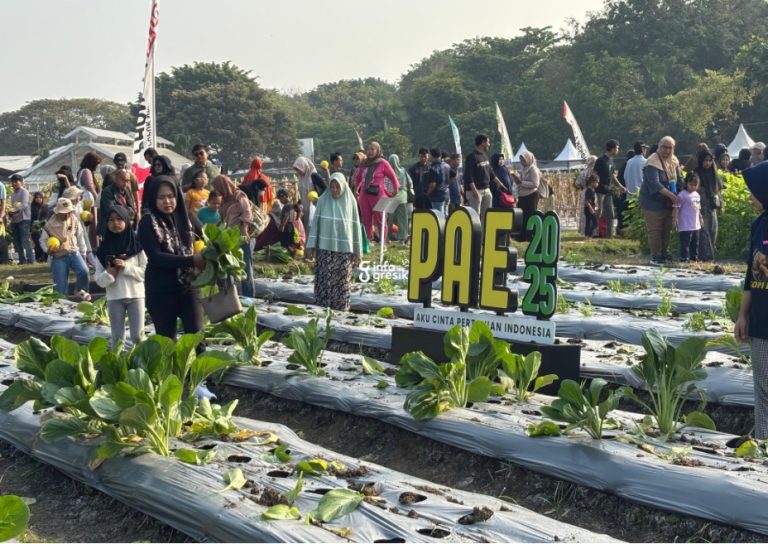 Suasana petik buah dan sayur di PAE 2025. (Foto: Khanif Rosidin/Infogresik)