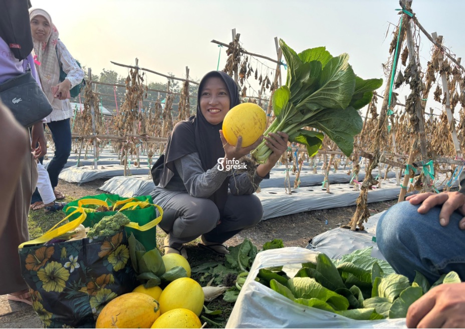 Salah satu warga menunjukkan hasil petik buah dan sayur di PAE 2025. (Foto: Khanif Rosidin/Infogresik)