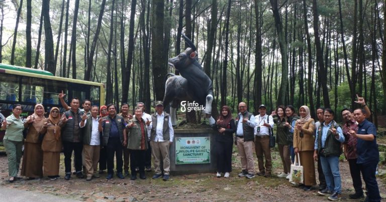 Suasana serah terima secara simbolis sapi hasil revitalisasi genetik. (Foto: Ist/Infogresik)