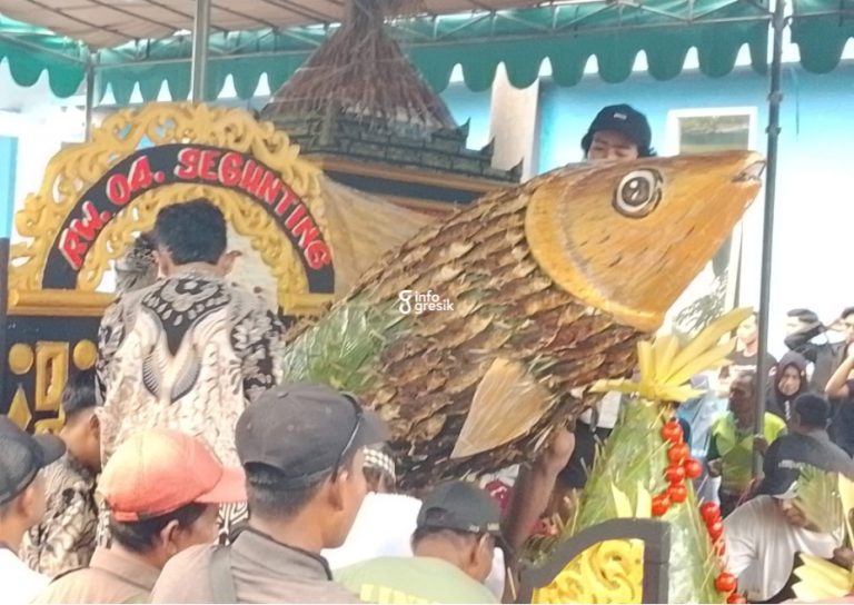 2000 Bandeng Dibagikan Gratis saat Sedekah Bumi Desa Tambakberas Cerme Replika bandeng raksasa yang tersusun dari ikan bandeng saat dikirab oleh warga Desa Tambakberas, Kecamatan Cerme. (Foto: Ist/Infogresik)