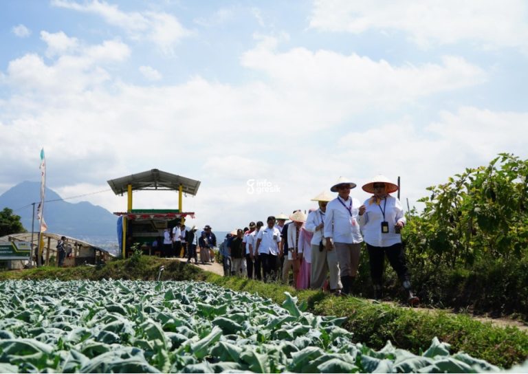 Area pertanian di Tawangargo Smart Eco Farming Village, Malang. (Foto: Ist/Infogresik)