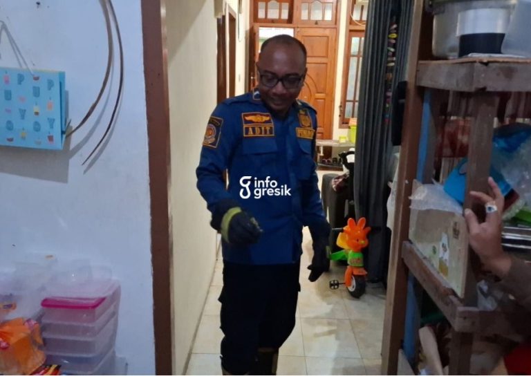 Petugas Damkarla Gresik saat mengevakuasi seekor kodok di rumah warga. (Foto: Ist/Infogresik)