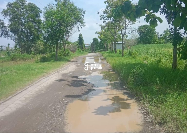 Jalan penghubung Desa Brangkal dan Jombangdelik di Kecamatan Balongpanggang terlihat rusak. (Foto: Ist/Infogresik)