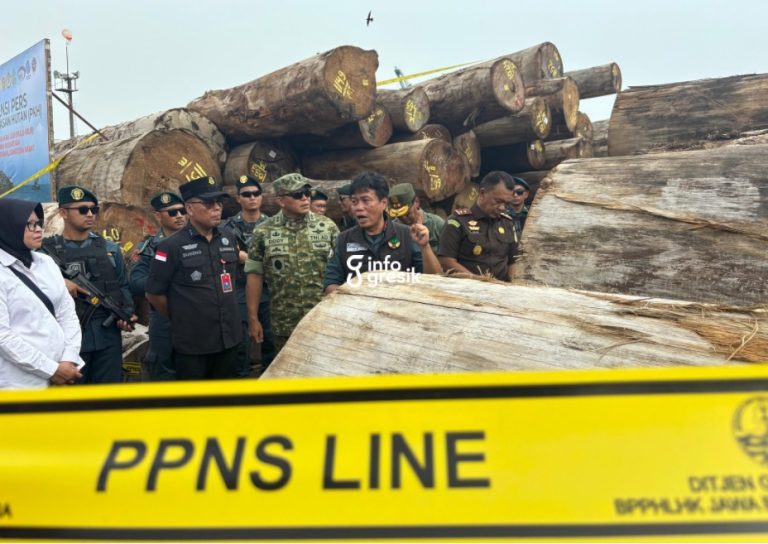 Direktur Jenderal Penegakan Hukum Kehutanan, Dwi Januanto Nugroho, bersama tim Satgas Penertiban Kawasan Hutan meninjau kayu ilegal yang berhasil diamankan di Pelabuhan Gresik. (Foto: Khanif Rosidin/Infogresik)
