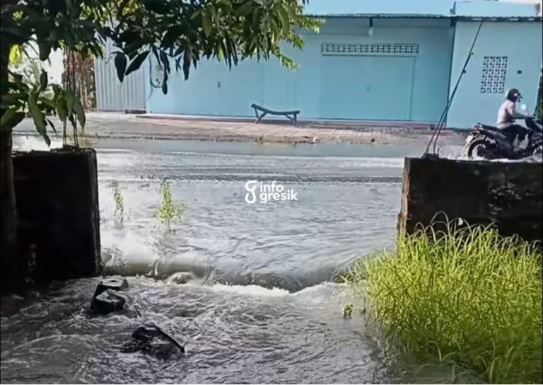 Gresik Diterjang Bencana Hidrometeorologi: Banjir Luapan Kali Lamong Mulai Surut, Angin Kencang Robohkan Pohon Kondisi banjir di Desa Dadapkuning Cerme. (Foto: Ist/Infogresik)