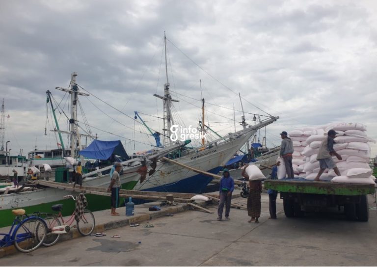 Bertaruh Waktu di Tengah Ombak: Perjuangan Mengantar Pupuk Bersubsidi Petrokimia Gresik di Pulau Bawean Para pekerja pengangkut pupuk bersubsidi saat bongkar muat di Pelabuhan Gresik. (Foto: Khanif Rosidin/Infogresik)