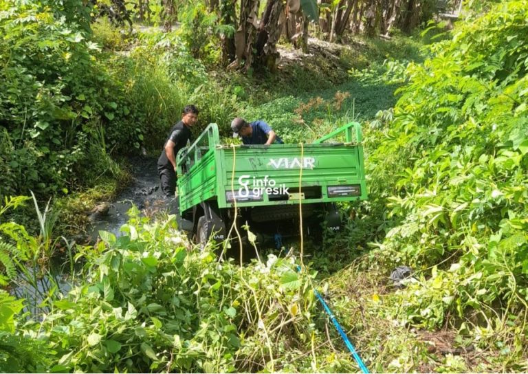 Hindari Jalan Berlubang, Tossa Terperosok ke Kali di Dukun Gresik Proses evakuasi tossa yang tercebur kali di Dukun. (Foto: Ist/Infogresik)