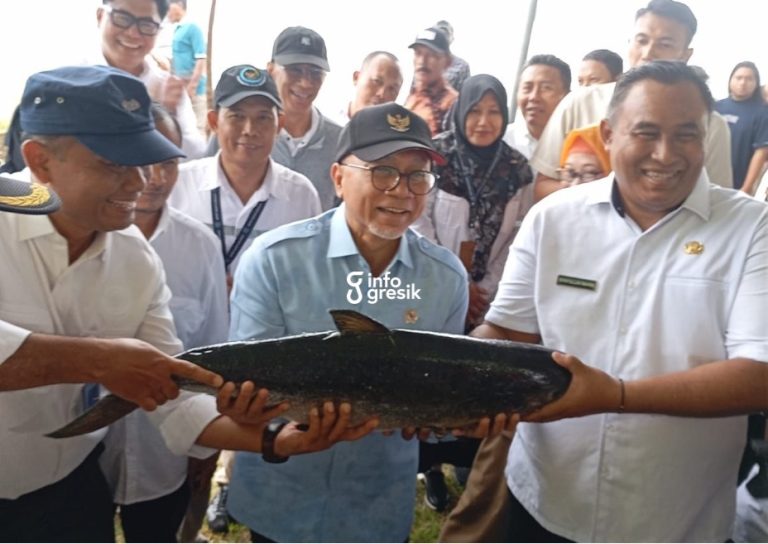 Tinjau Tambak di Desa Pangkahwetan Gresik, Menko Zulhas Minta Kampung Bandeng Suplai Kebutuhan MBG Menko Pangan RI Zulkifli Hasan bersama Kepala Desa Pangkahwetan Saifullah Mahdi menunjukkan bandeng kawak hasil panen di tambak Desa Pangkahwetan, Kecamatan Ujungpangkah. (Foto: Ist/Infogresik)