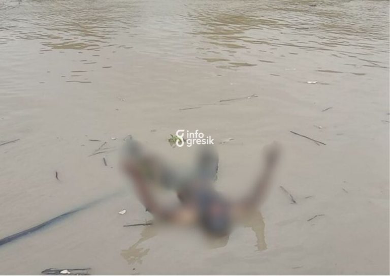 Kondisi mayat laki-laki tanpa identitas saat ditemukan nelayan Desa Randuboto di aliran Sungai Bengawan Solo. (Foto: Ist/Infogresik)