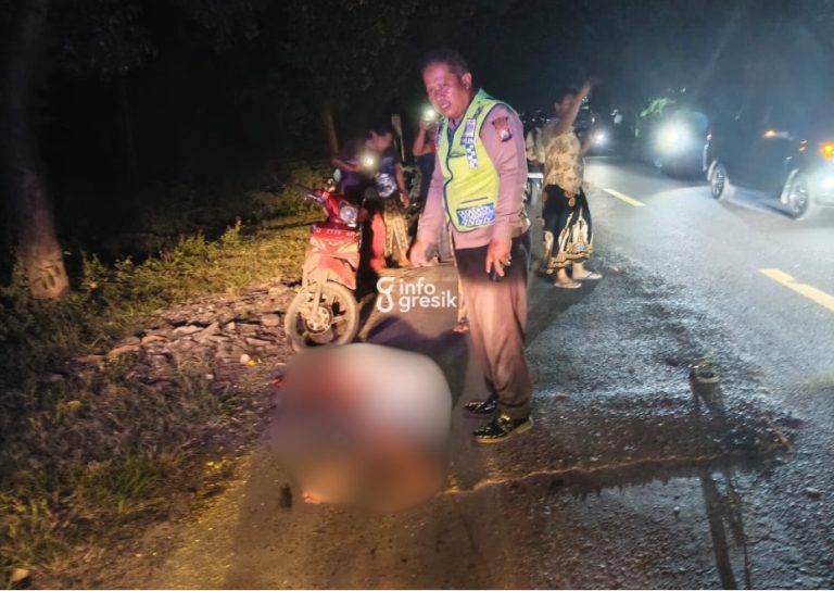 Petugas Polsek Bungah saat mengevakuasi korban kecelakaan tunggal di Jalan Raya Kemangi, Kecamatan Bungah, Kabupaten Gresik, Minggu (1/3/2026) malam. (Foto: Ist/Infogresik)