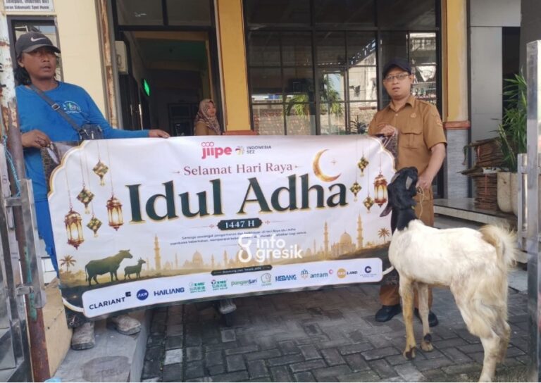 Melalui Program JIIPE Peduli, 8 Sapi dan 36 Kambing Disalurkan ke Desa Sekitar Kawasan Tim JIIPE saat menyalurkan hewan kurban di Desa Manyar Sidomukti, Kecamatan Manyar, Gresik. (Foto: Ist/Infogresik)