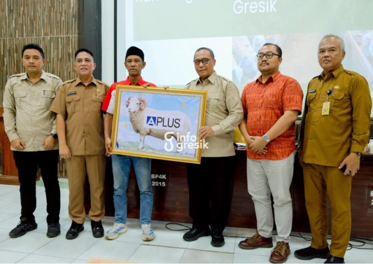 Miliki Populasi 192 Ribu Ekor, Pemkab Gresik Bidik Potensi Besar Hilirisasi Kambing-Domba Sekretaris Daerah (Sekda) Gresik, Achmad Washil Miftahul Rachman, menyerahkan bantuan domba kepada Ketua Indonesia Goat Breeders (IGB) Gresik, H. Yazid, dalam kegiatan Gresik Krawu Enak bertema Hilirisasi Produk Peternakan Kambing Domba. (Foto: Ist/Infogresik)