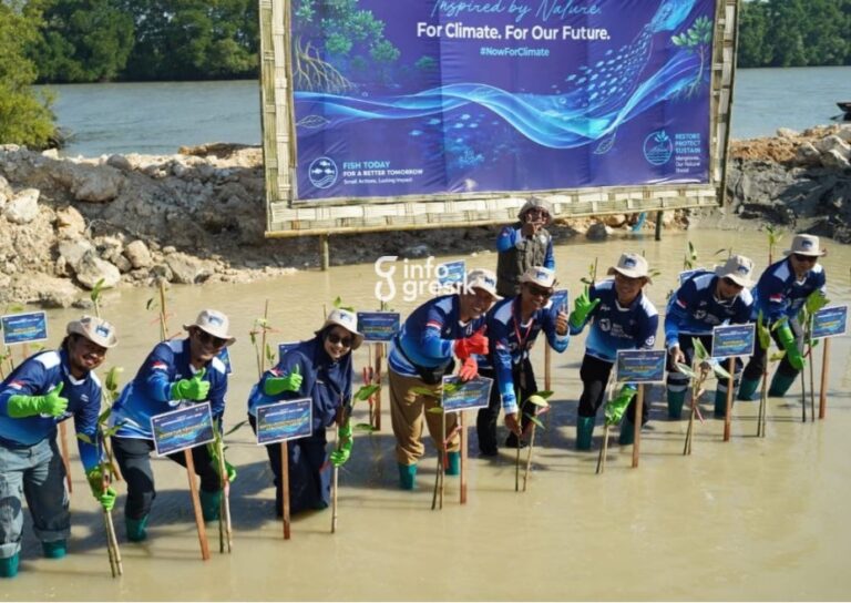 Proses penanaman mangrove di kawasan industri JIIPE. (Foto: Ist/InfoGresik)