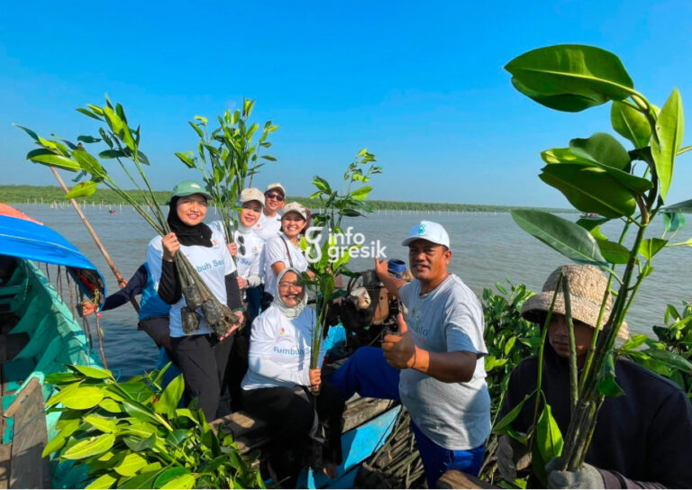 Melawan Perubahan Iklim dari Pesisir Gresik: Menghijaukan Randuboto, Menyelamatkan Masa Depan Proses penanaman bibit mangrove di kawasan pesisir Desa Randuboto, Kecamatan Sidayu, Kabupaten Gresik. (Foto: Ist/Infogresik)