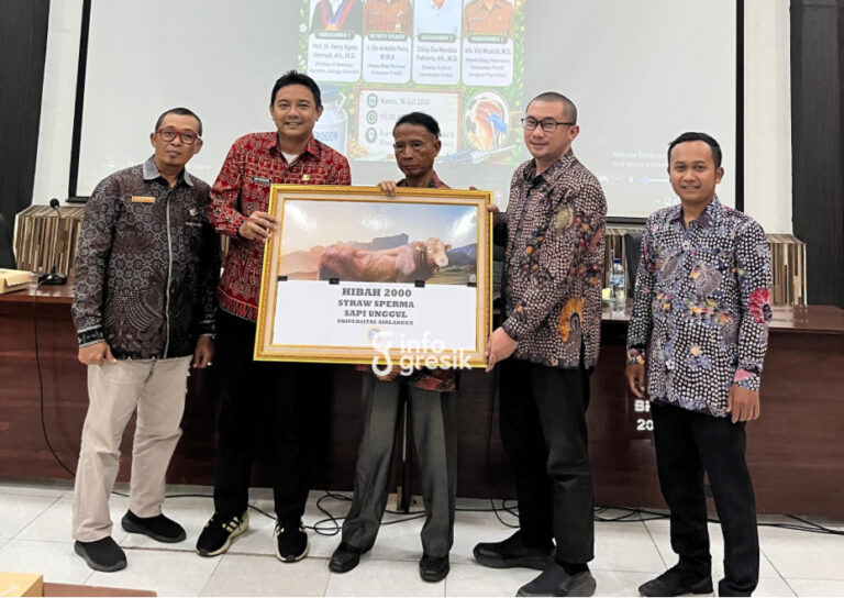 Prosesi penyerahan hibah 2.000 dosis straw sperma (semen) sapi unggul oleh Direktur AIC UNAIR, drh. Dikki, didampingi Prof. drh. Herry Agus, kepada Kepala Bidang Peternakan Dinas Pertanian Gresik, drh. Viki, yang didampingi Kepala UPT Puskeswan Panceng, Bambang, serta perwakilan peternak. (Foto: Ist/Infogresik)