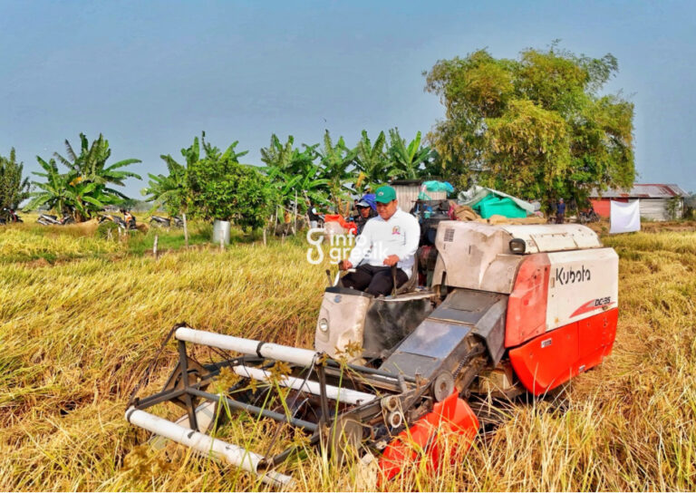 Ketua DPRD Gresik, M. Syahrul Munir, bersama petani melakukan panen perdana mina padi di Desa Tanggulrejo, Kecamatan Manyar, Kabupaten Gresik. (Foto: Ist/Infogresik)