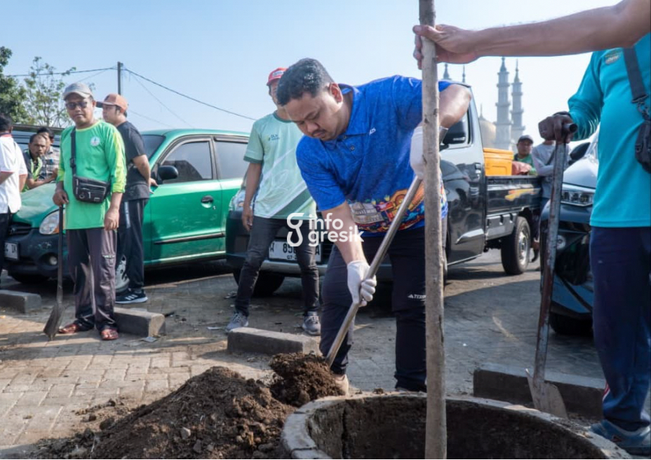 Bupati Gresik, Fandi Akhmad Yani saat menanam mangrove. (Foto: Ist/Infogresik)