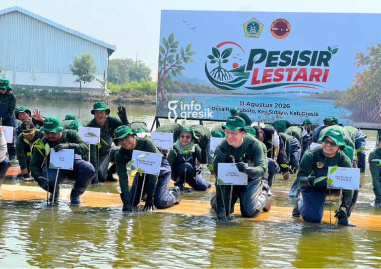 Presiden Direktur PT Smelting Dharma Djojonegoro bersama Bupati Gresik Fandi Akhmad Yani dan sejumlah pihak melakukan penanaman simbolis 10.000 bibit mangrove di Desa Randuboto, Kecamatan Sidayu, Kabupaten Gresik. (Foto: Khanif Rosidin/Infogresik)