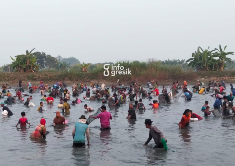 Suasana ratusan warga saat berebut ikan di Waduk Srumbung, Desa Bulangan. (Foto: Ist/Infogresik)