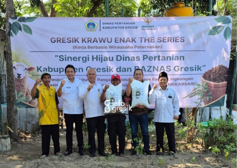 Lewat Program “Gresik Krawu Enak”, Pupuk Organik Kotoran Domba Diaplikasikan di Kebun Dinas Pertanian Kadis Pertanian Gresik, Eko Anindito Putro, bersama Kabid Pertenakan Drh. Viki perwakilan baznas dan peternak. (Foto: Ist/Infogresik)