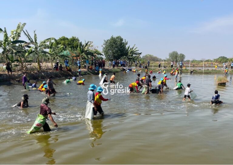 Ratusan peserta mengikuti Festival Ngubek Tambak di Desa Randuboto, Kecamatan Sidayu, Gresik. (Foto: Khanif Rosidin/Infogresik)